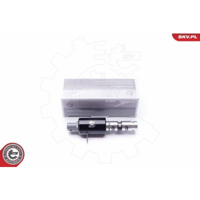 Řídicí ventil, seřízení vačkového hřídele ESEN SKV 39SKV025 – Zboží Mobilmania