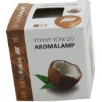 Rentex vonný vosk palmový do aroma lampy kostky Kokos 8 ks 30 g – Hledejceny.cz