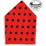 Soonrich kapesník s puntíky Ferda kaba074 – Zbozi.Blesk.cz