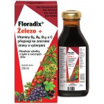 Salus Floradix Železo+ 250 ml – Hledejceny.cz