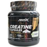 Amix Black Line Creatine Creapure Capsules 300 kapslí – Zboží Mobilmania
