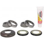 PIVOT WORKS ložisko hlavy řízení YAMAHA TT-R 250 99-06, WR 250, 500 91-97, YZ 125 87-92 ( )