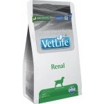 Vet Life Dog Renal 2 kg – Sleviste.cz