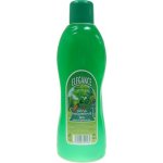 Elegance pěna do koupele Les zelená 2 l – Sleviste.cz