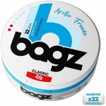 Bagz ARCTIC FREEZE Mentol a máta 8 mg 22 sáčků – Hledejceny.cz