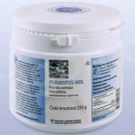 MRL Pleurotus mycélium-Biomasa 250 tablet – Hledejceny.cz