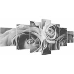 Obraz - Růže, černobílá, sedmidílný 210x100 cm – Hledejceny.cz