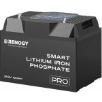 Renogy PRO 100Ah 12V LiFePO4 s výhřevem Bluetooth IP67 Lithium Smart Battery RBT12100LFP-BT-EU – Hledejceny.cz