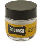 Dřevitý vosk na knír Proraso Moustache Wax — Wood & Spice (15 ml) – Zboží Mobilmania