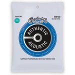 Martin Authentic SP Silk & Steel Custom – Sleviste.cz