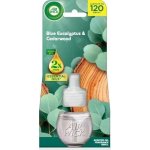 Air Wick Elektrický osvěžovač vzduchu + náplň Eukalyptus a cedrové dřevo 19 ml – Zboží Dáma