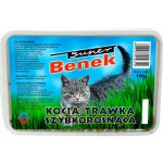 Super Benek Rychle rostoucí tráva 150 g – Sleviste.cz