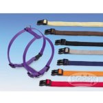 Nobby CLASSIC postroj nylon – Zboží Mobilmania