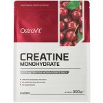 OstroVit Kreatin Monohydrát 500 g – Hledejceny.cz