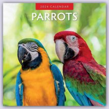Parrots Papageien 16-Monats 2024