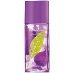 Elizabeth Arden Green Tea Lavender toaletní voda dámská 100 ml tester – Hledejceny.cz