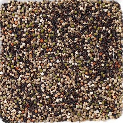 Deli Nature 82 Canaries Germination Seeds 2,5 kg – Sleviste.cz
