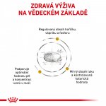 Royal Canin Veterinary Health Nutrition Adult Cat Urinary S/O Moderate Calorie Chicken 3,5 kg – Zboží Dáma