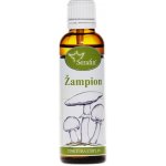 Serafin Žampion tinktura z bylin 50 ml – Hledejceny.cz