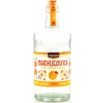 Marsen Marhulovica Traditional 42% 0,7 l (holá láhev) – Sleviste.cz
