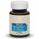 Maharishi Ayurveda Shilajit 60 tablet – Hledejceny.cz