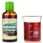 Bylinné kapky HOUSENICE ČERVENÁ Cordyceps tinktura 50 ml – Hledejceny.cz