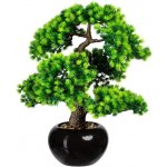 Bonsaj modřín v květináči, 48cm – Zboží Dáma