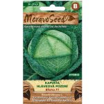 MORAVOSEED Kapusta hlávková pozdní BLISTRA F1 hybrid