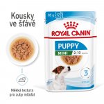 Royal Canin Mini Puppy 85 g – Zboží Mobilmania