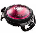 Orbiloc LED světlo na obojek růžové – Zboží Mobilmania