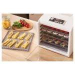 Sencor SFD 6500 – Zboží Dáma