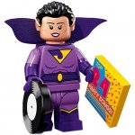 LEGO® Minifigurky 71020 Batman™ Movie 2 Dvojče Jayna – Hledejceny.cz