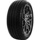 Delinte DS2 205/55 R16 94W