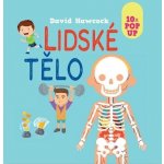Lidské tělo 10 pop-up obrázků - Hawcock David – Hledejceny.cz