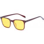 Anti Blue Ray YWEC9 Wayfarer style 2052BR – Sleviste.cz