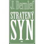 Stratený syn - J. Bernlef – Hledejceny.cz