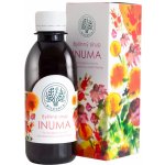 Bilegria INUMA bylinný sirup na podporu imunity s echinaceou a rakytníkem 200 ml – Hledejceny.cz