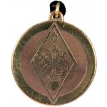 Amulet Symbols Symbol 05 Štít prozřetelnosti – Zboží Mobilmania