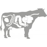 Nature line Deník hovězí sol. 115/130 mm – Zboží Dáma