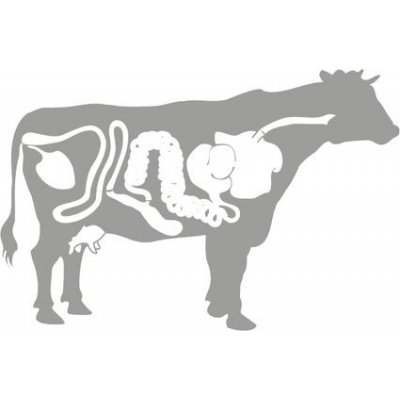 Nature line Deník hovězí sol. 115/130 mm – Zboží Dáma