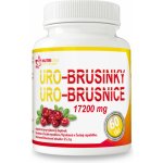 Uro Brusinky 60 tablet – Hledejceny.cz