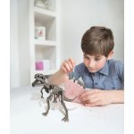 Mac Toys Dinosauří kostra REX – Zboží Mobilmania