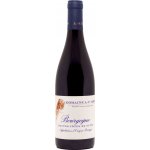 Domaine A.F. Gros Bourgogne Hautes Cotes de Nuits Rouge 2023 Červené 12,9% 0,75 l (holá láhev) – Hledejceny.cz