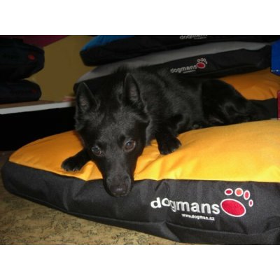 Dogmans Soft Runway 140 Matrace pro velkého psa – Hledejceny.cz