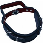 BAFPET Obojek kůže obrana s uchem 6,0 x 55 cm – Zboží Mobilmania