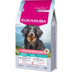 Eukanuba Adult Mono Protein Salmon 12 kg – Zbozi.Blesk.cz