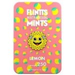 FLINTTS MINTS pastilky proti suchu v ústech Lemonm 15 g – Sleviste.cz