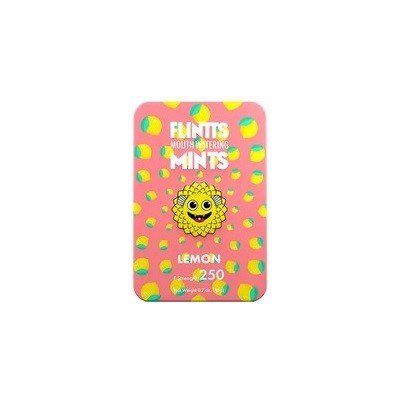 FLINTTS MINTS pastilky proti suchu v ústech Lemonm 15 g