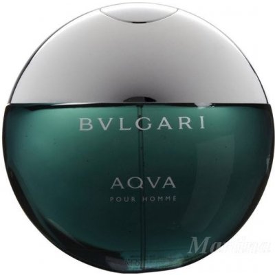 Bvlgari Aqva toaletní voda pánská 100 ml – Zboží Dáma