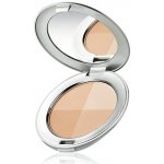 Sensai Cellular Performance Foundations vícebarevný pudr 8 g – Hledejceny.cz